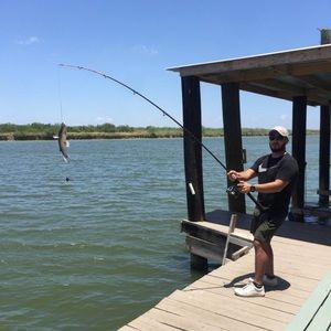 Meet your Posher, Leo